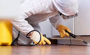 Best Real Estate Pest Inspections  in Kutztown, PA